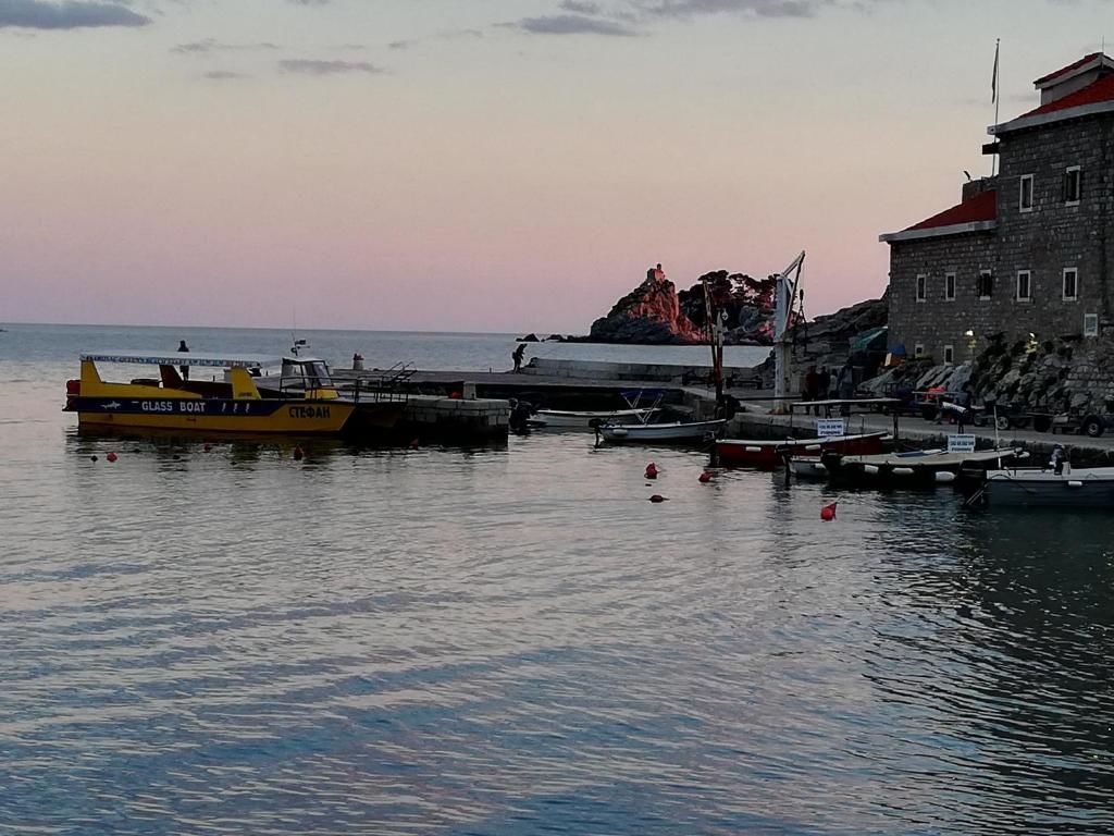 Апартаменты Top wiev Apartment Петровац