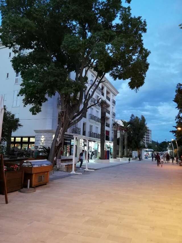 Апартаменты Top wiev Apartment Петровац-26